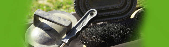 weitere pferdebuersten kategorieeinstiegsbanner